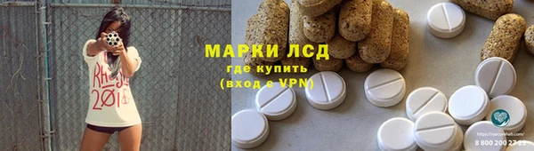дмт Алзамай