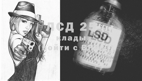 ГАЛЛЮЦИНОГЕННЫЕ ГРИБЫ Алексин