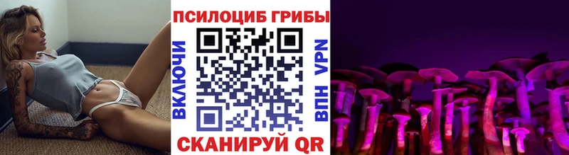 Галлюциногенные грибы мухоморы  Заводоуковск 